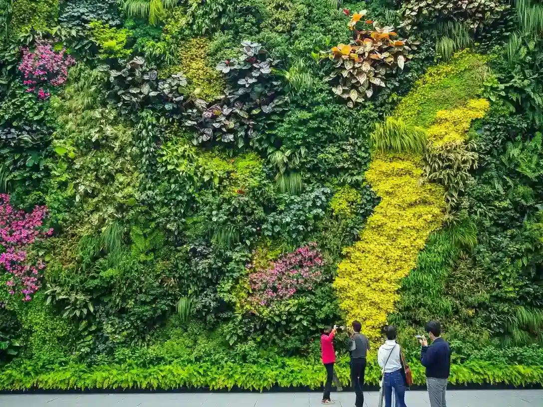 Vertical Garden